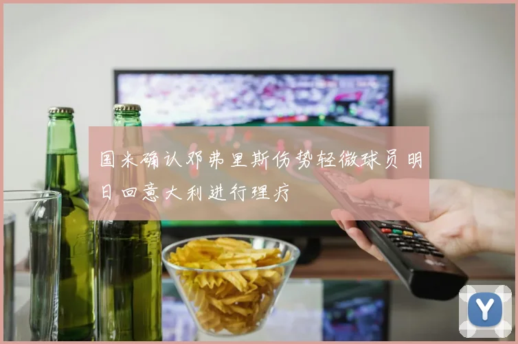 国米确认邓弗里斯伤势轻微球员明日回意大利进行理疗