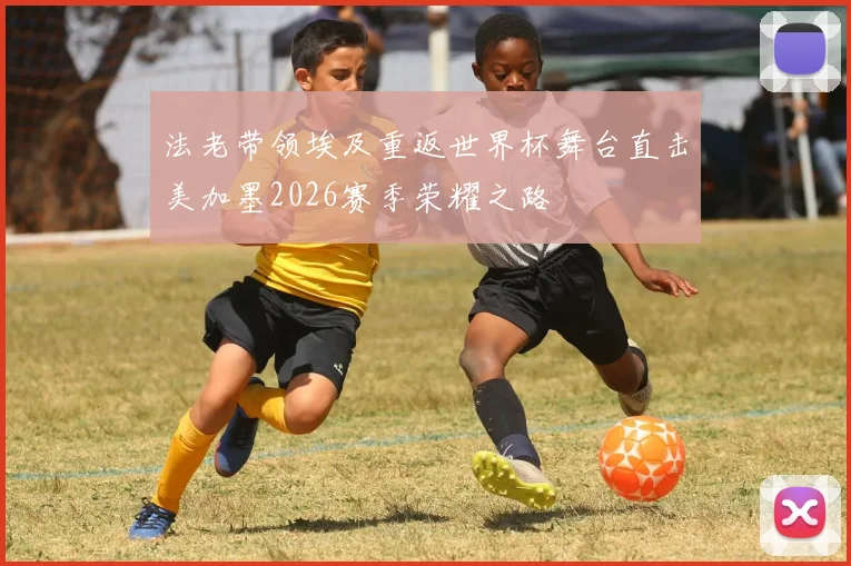 法老带领埃及重返世界杯舞台直击美加墨2026赛季荣耀之路