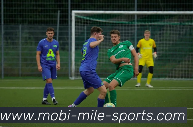 米乐体育APP 封面图